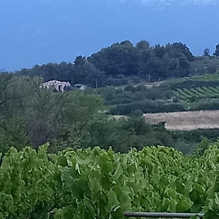Вилла La Pifote Villes-sur-Auzon Экстерьер фото