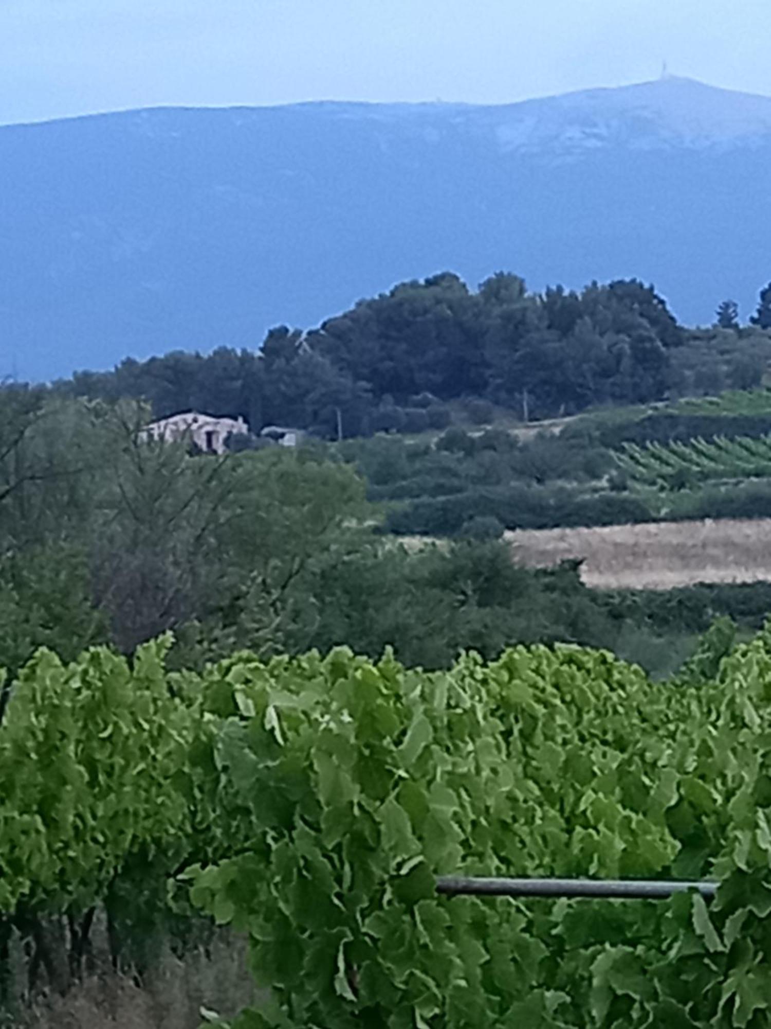 Вилла La Pifote Villes-sur-Auzon Экстерьер фото